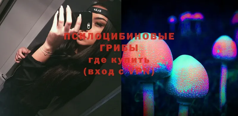 Галлюциногенные грибы Cubensis Наволоки